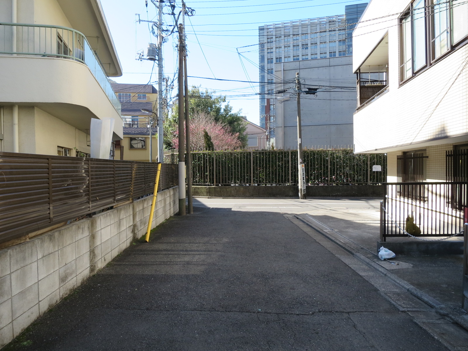 SHKビル前面の通り