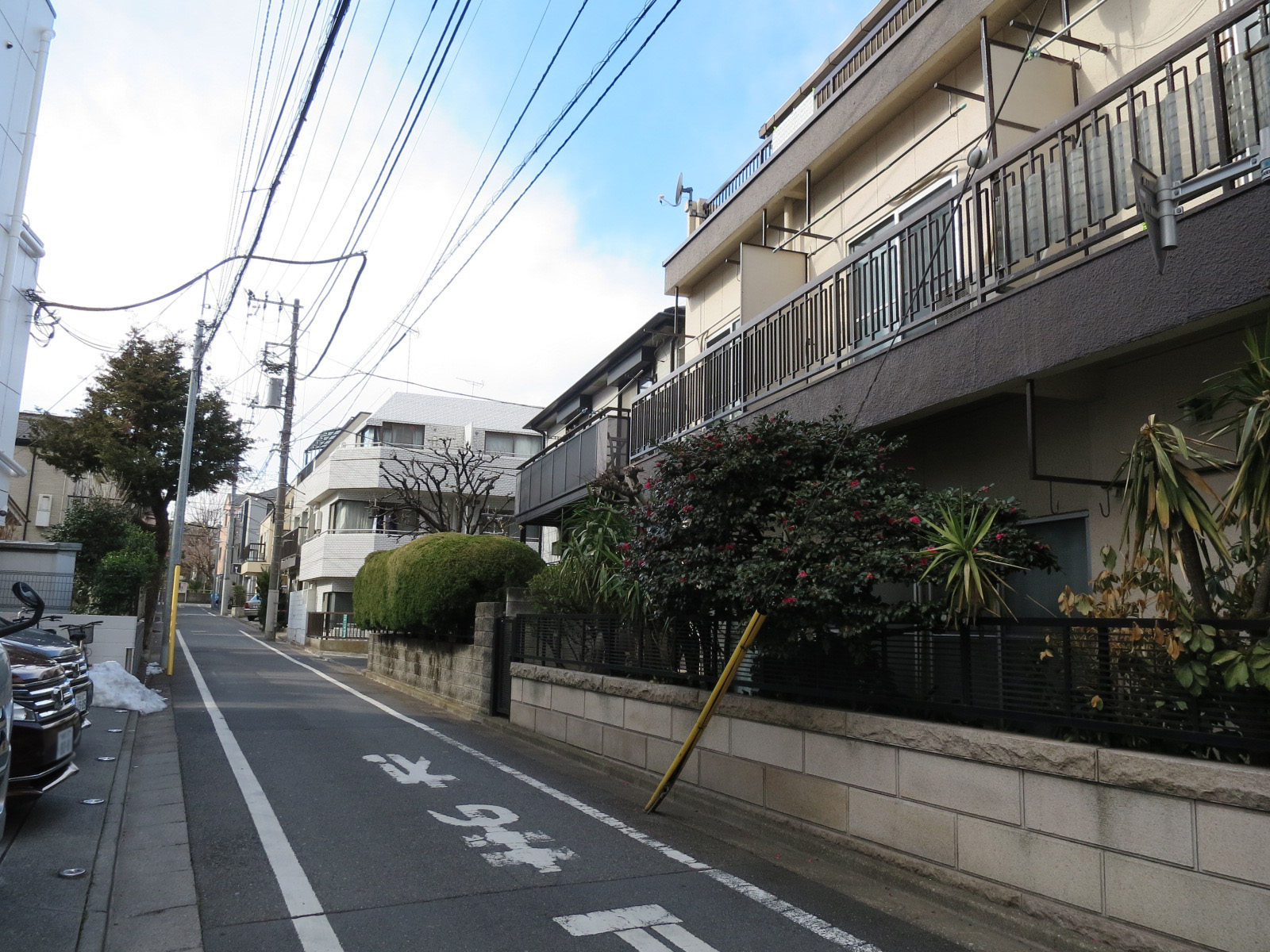 周辺は静かなエリア