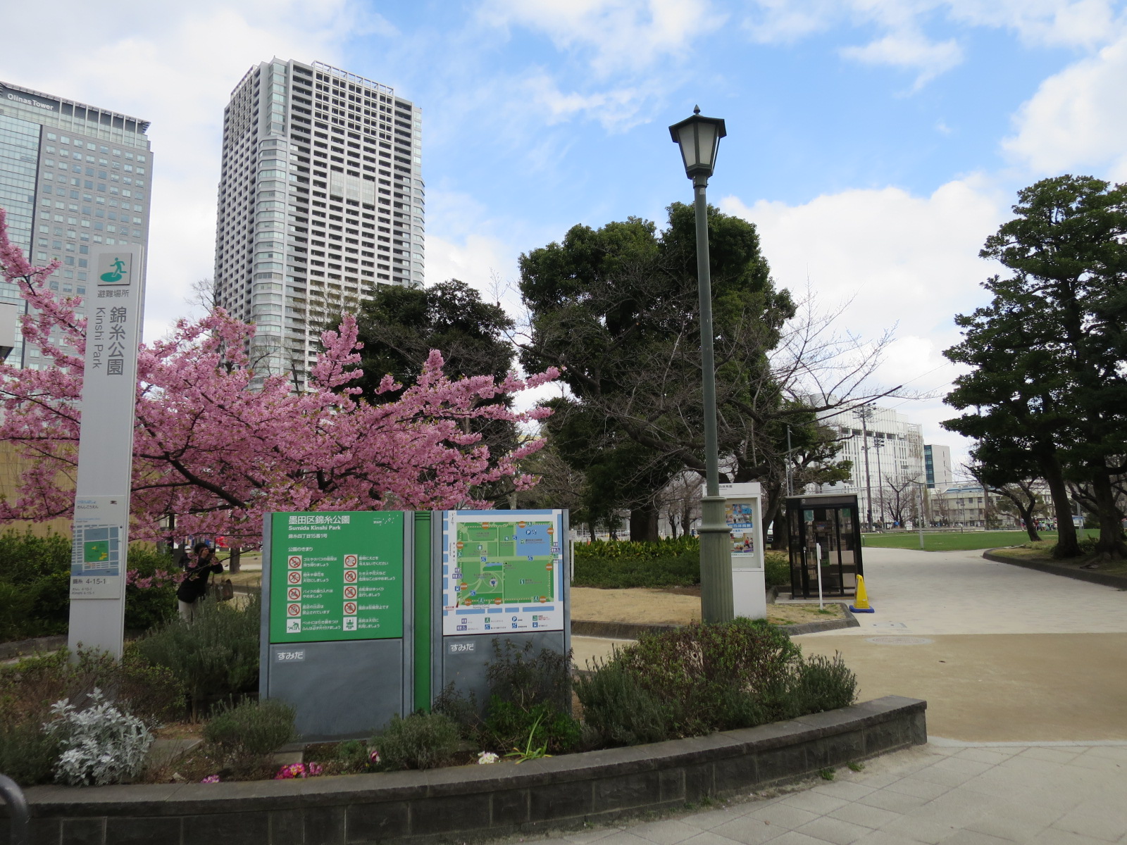 近くの公園