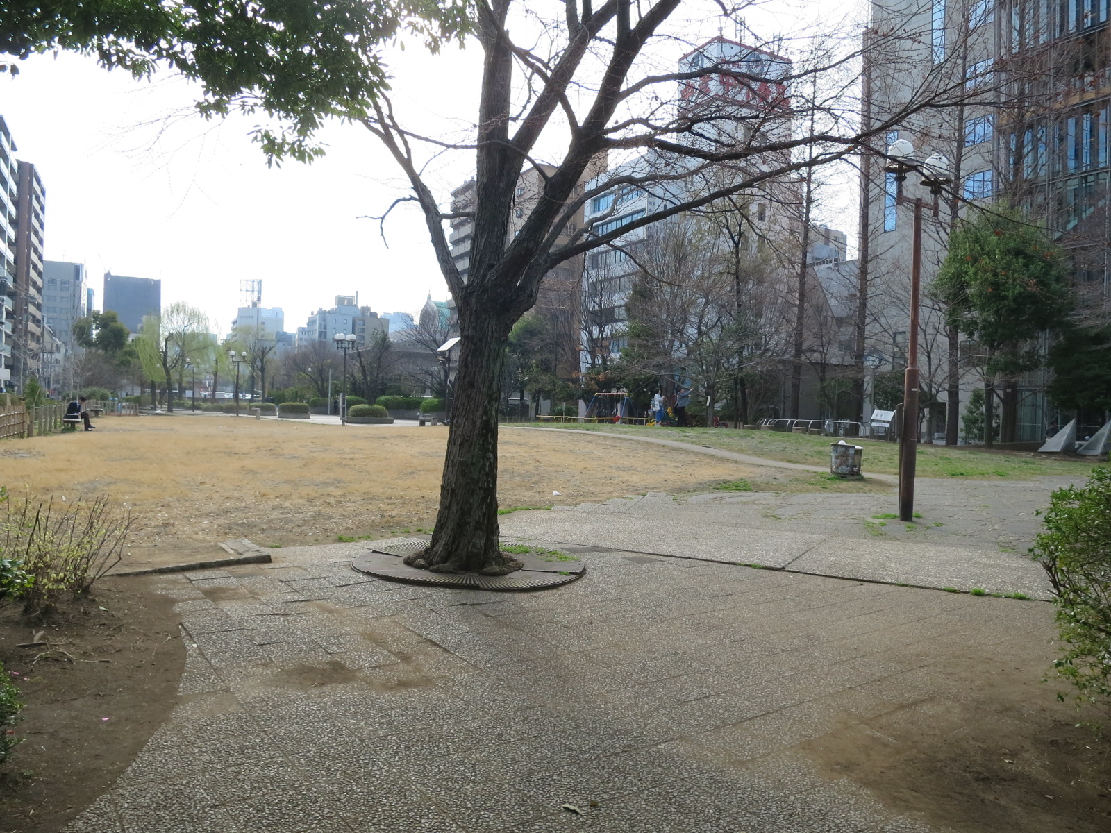 近くのあかつき公園