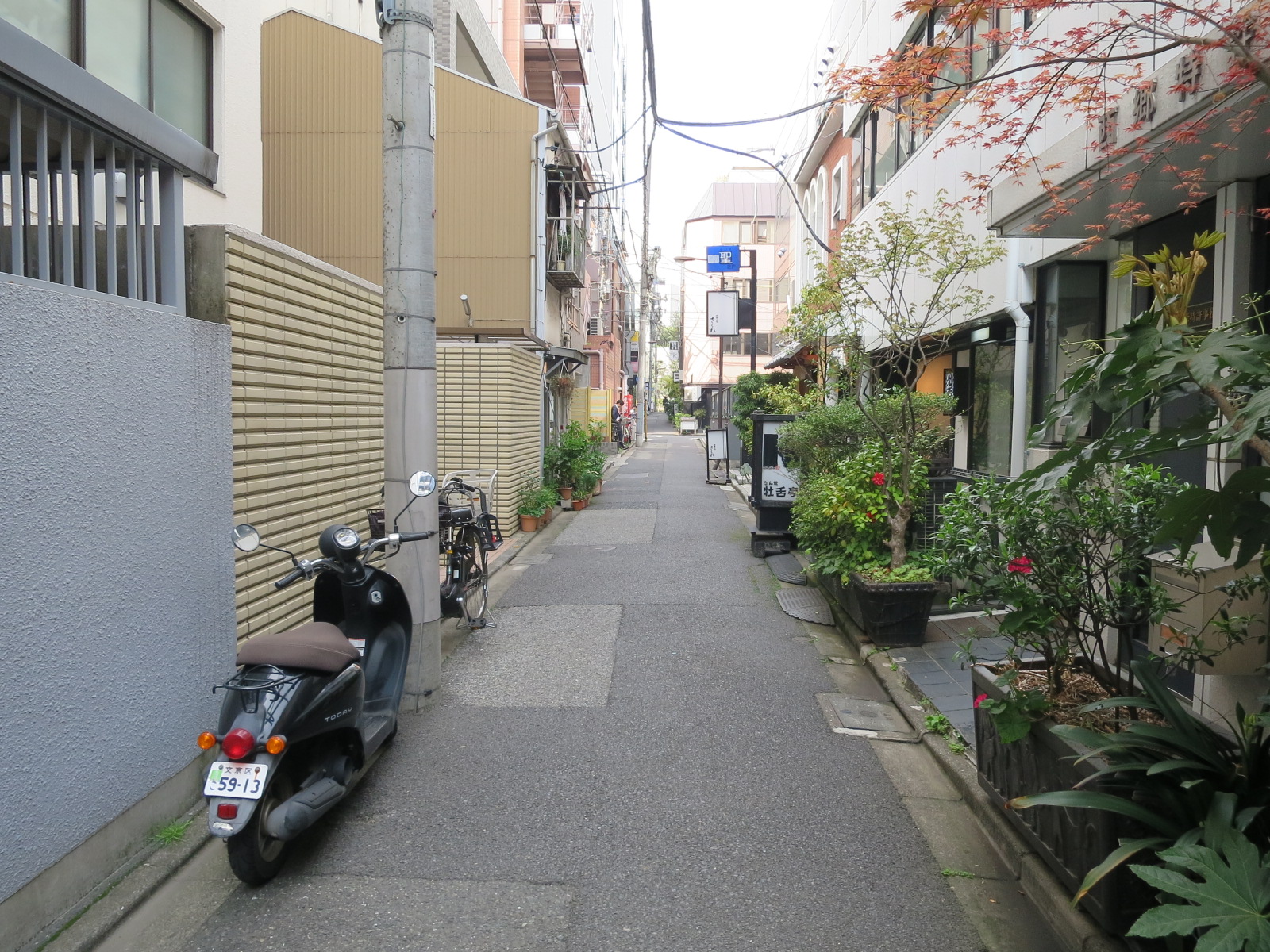前面の通り