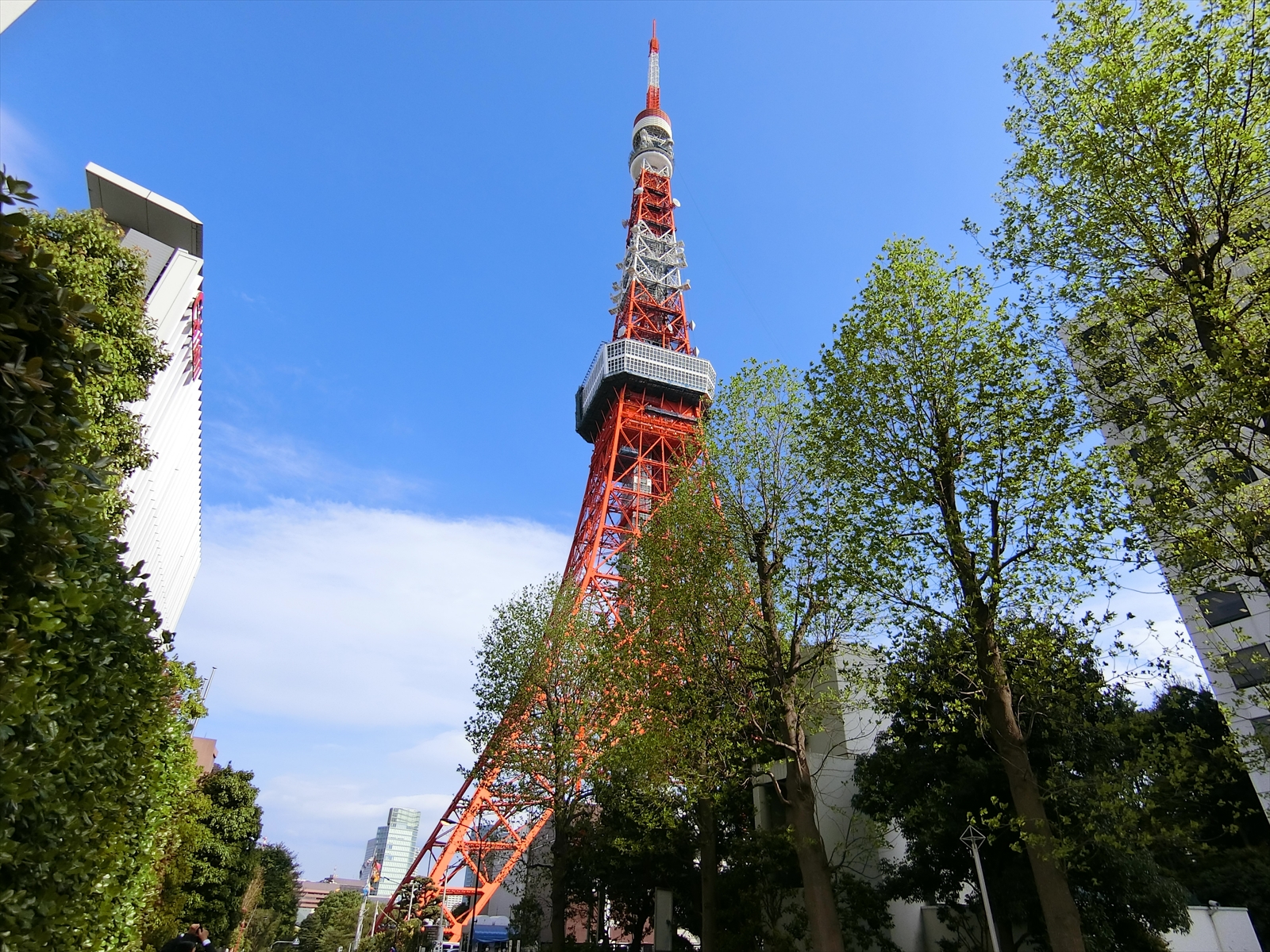 近くの東京タワー