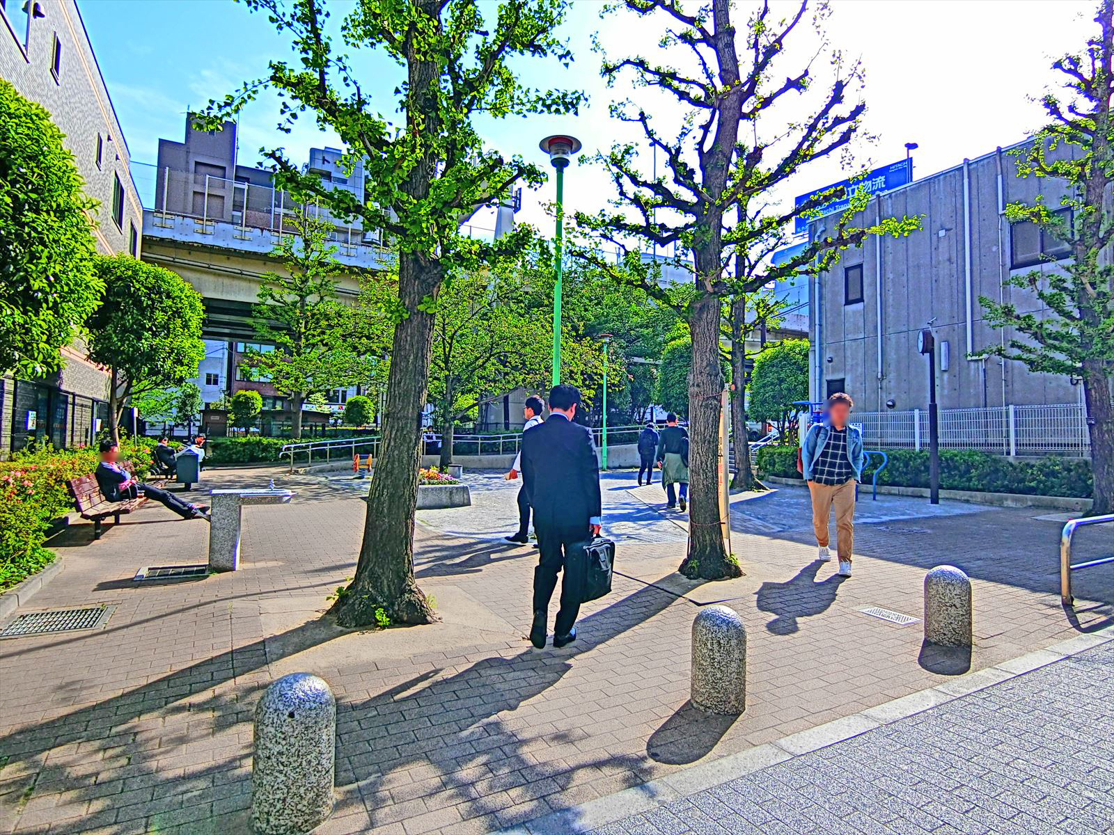 向かいの公園