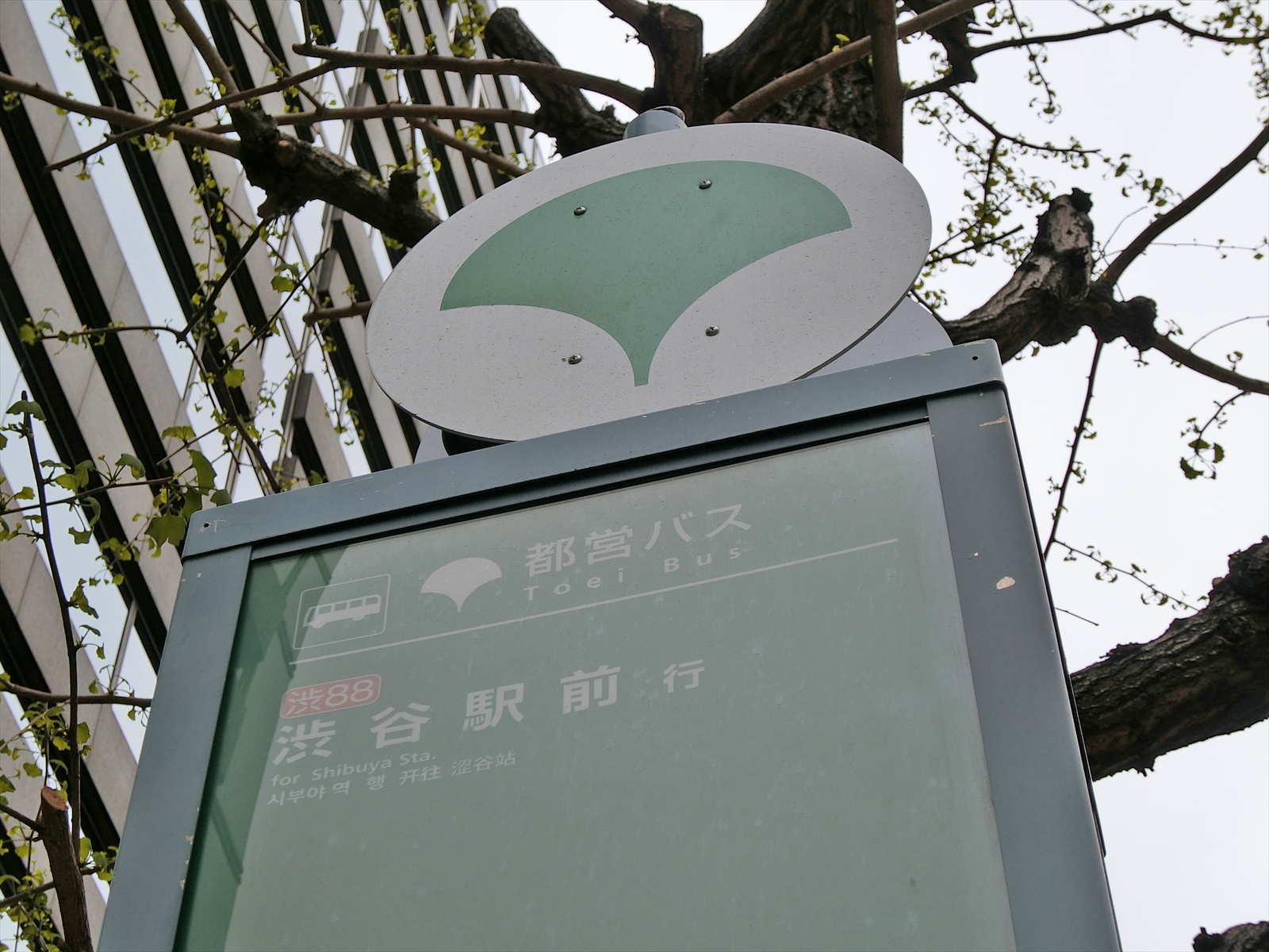 近くのバス停