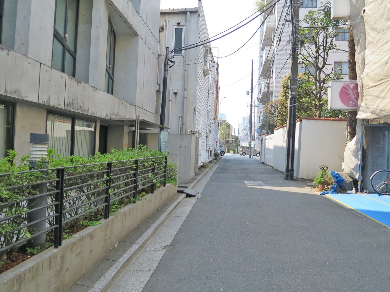 ヒルズ青山前面の通り