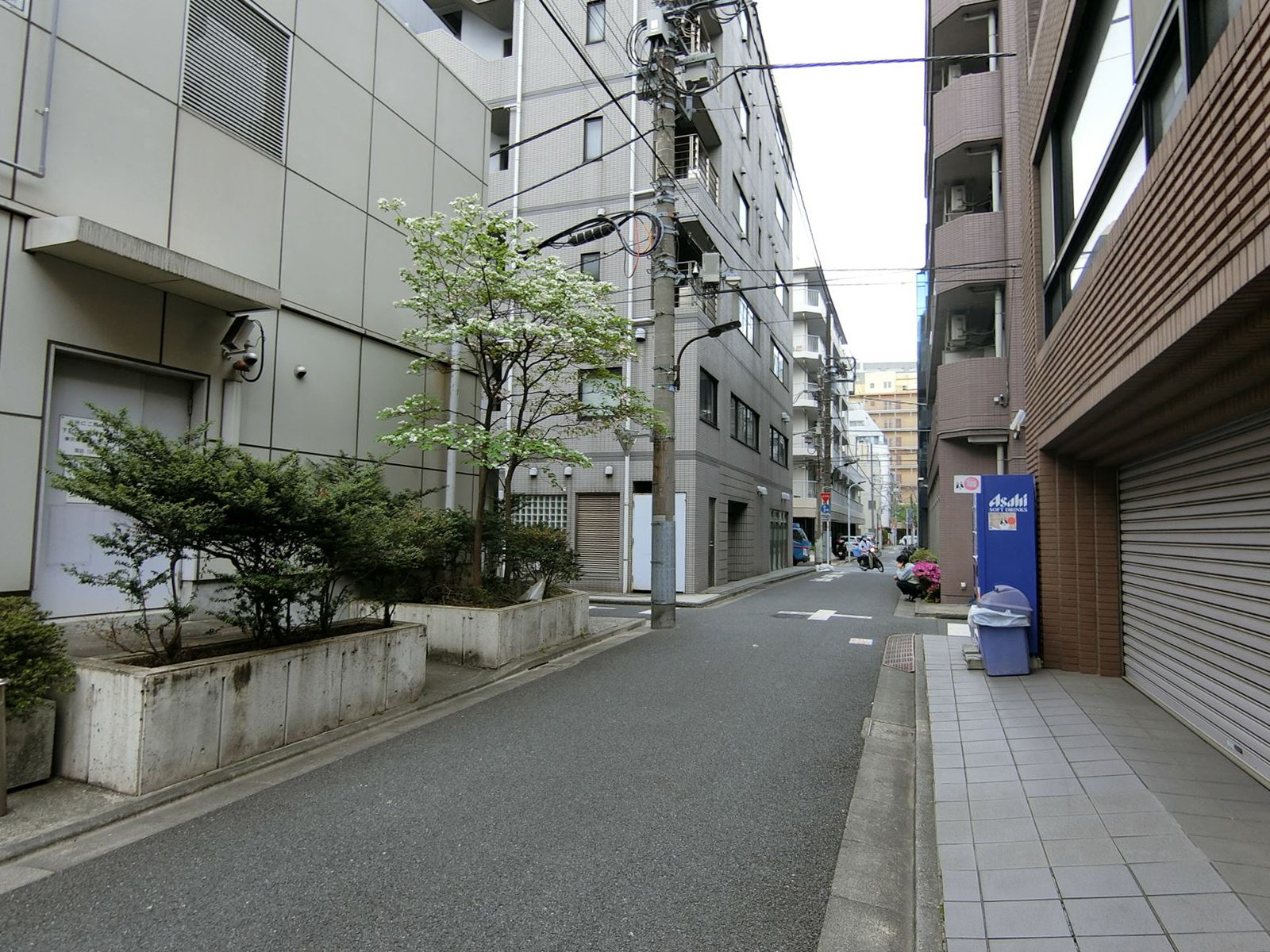 オフィスビル前面の通り
