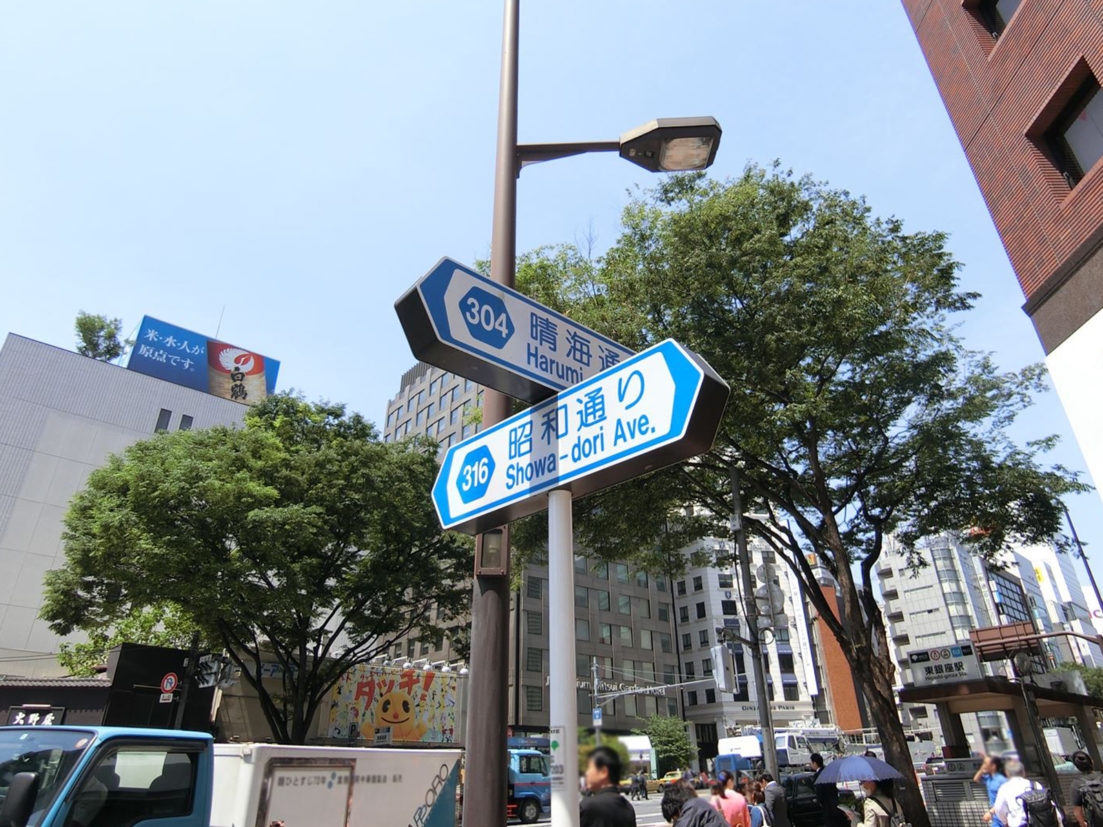 昭和通り沿い