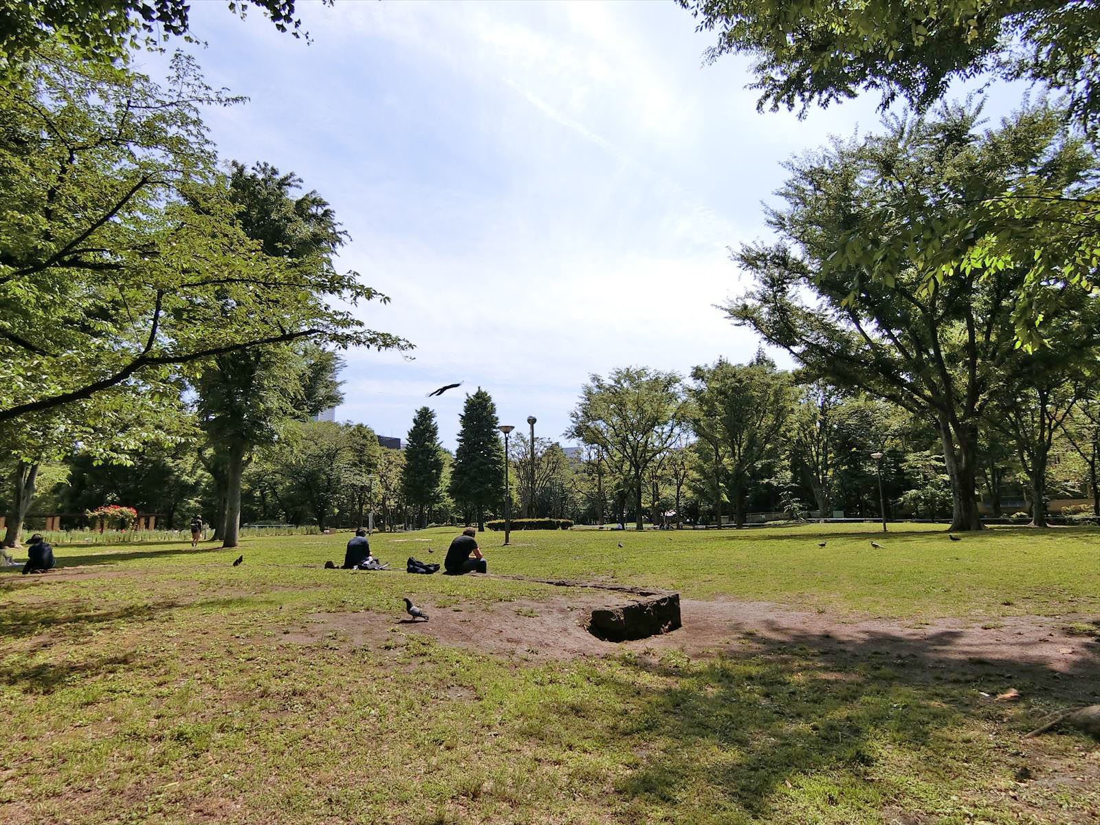 向かいの新宿中央公園