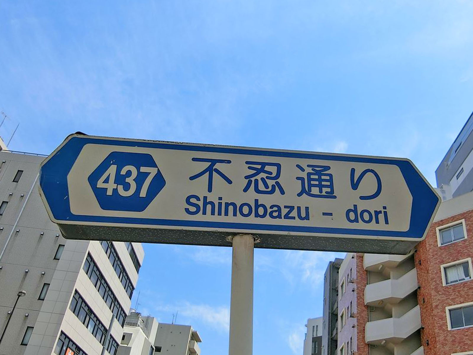 不忍通り沿い