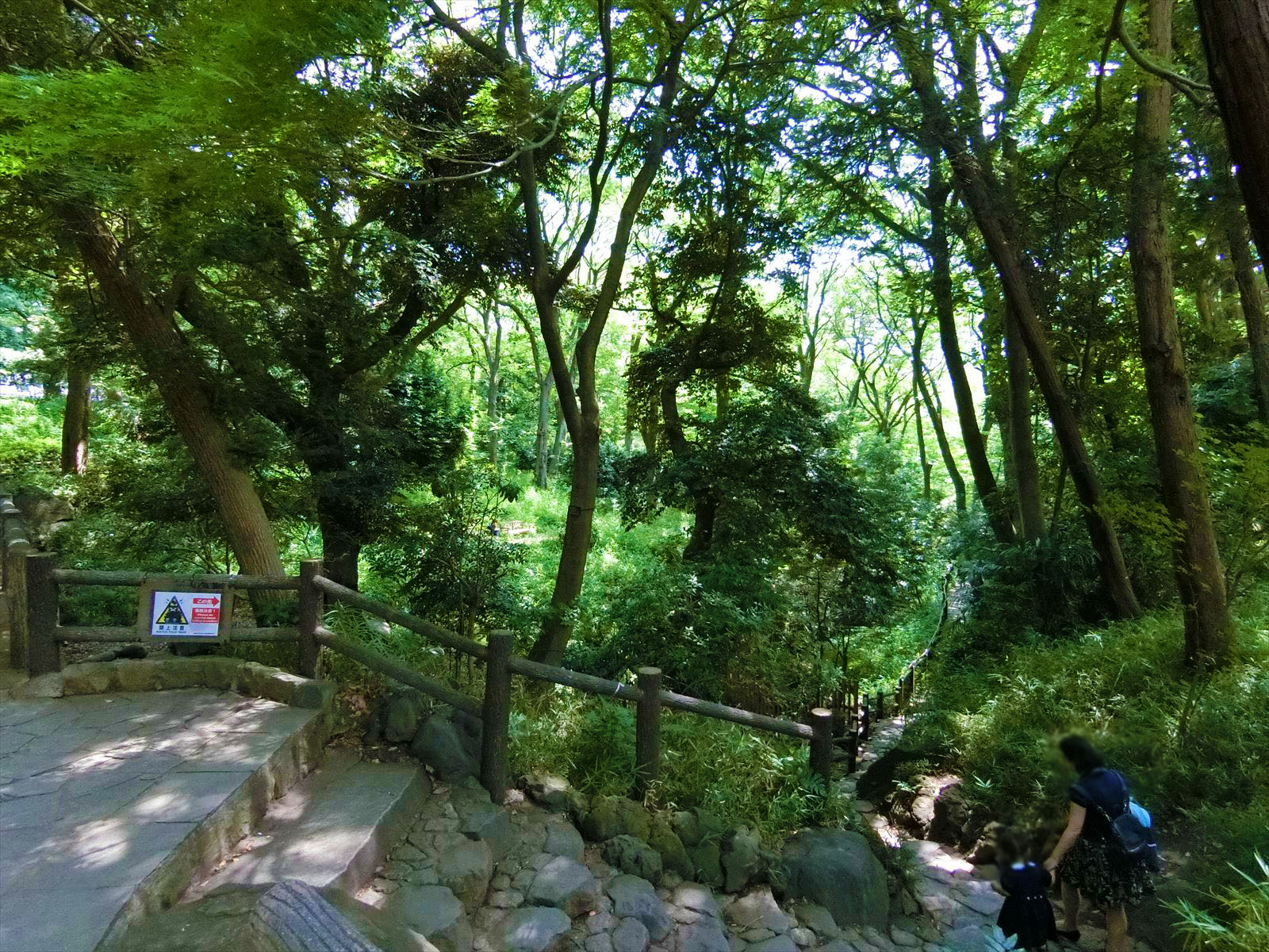 近くの有栖川宮記念公園