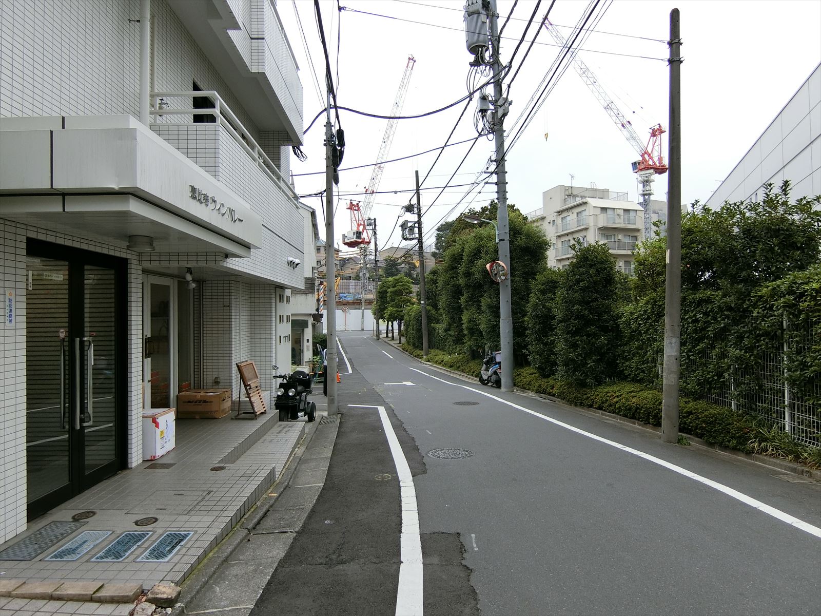 ハーモニックプレイス前面の通り