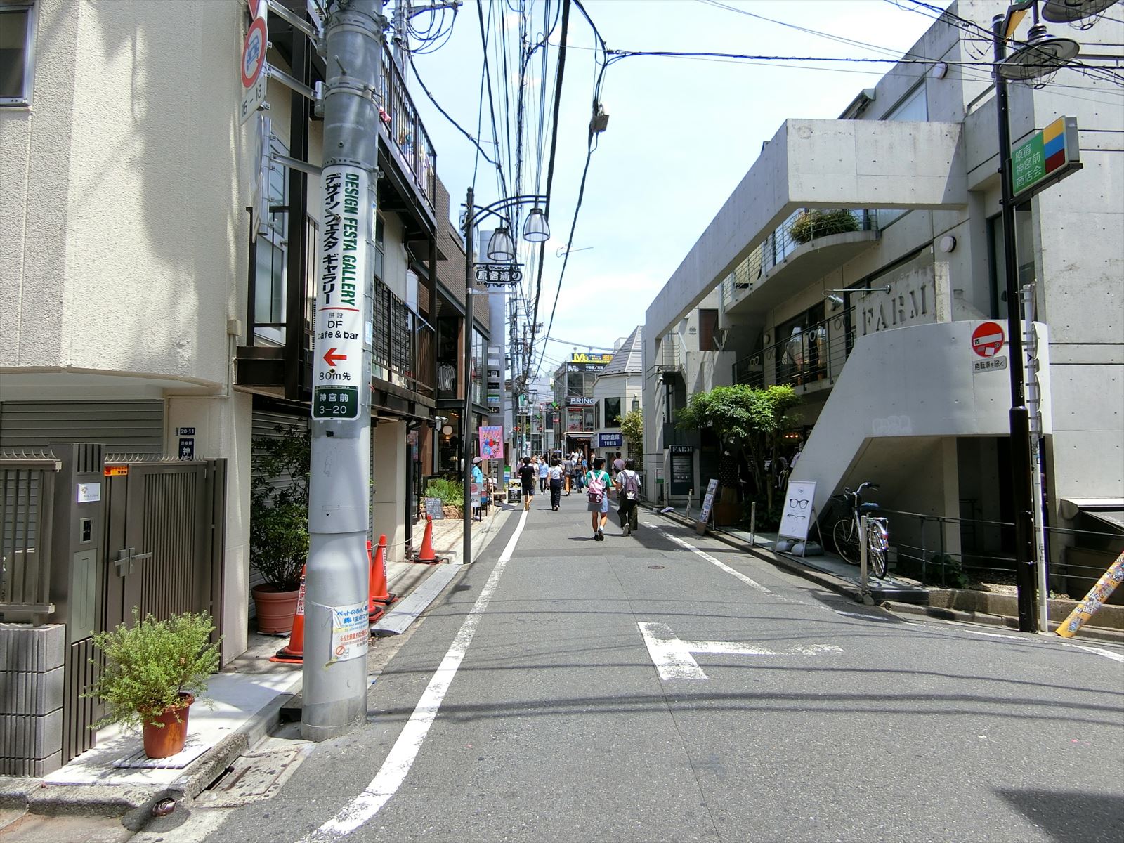 ギャラリードジム前面の通り