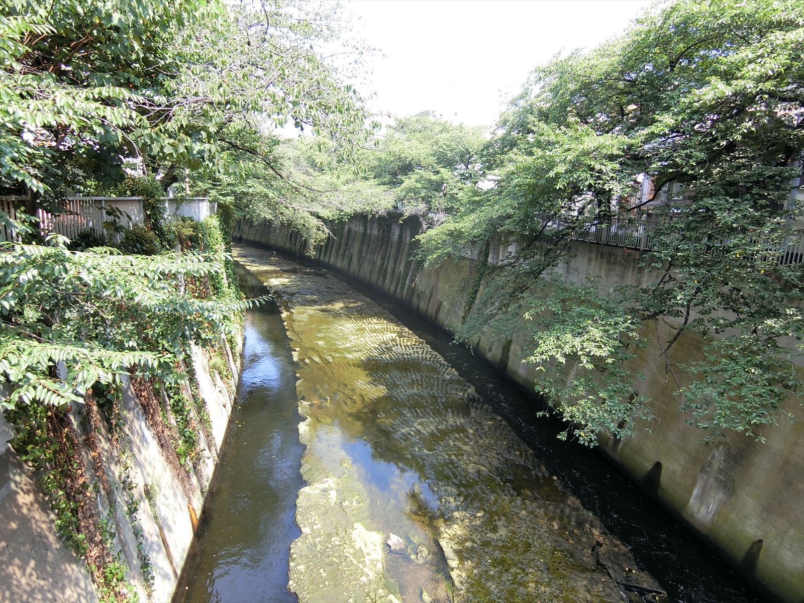 近くを流れる神田川