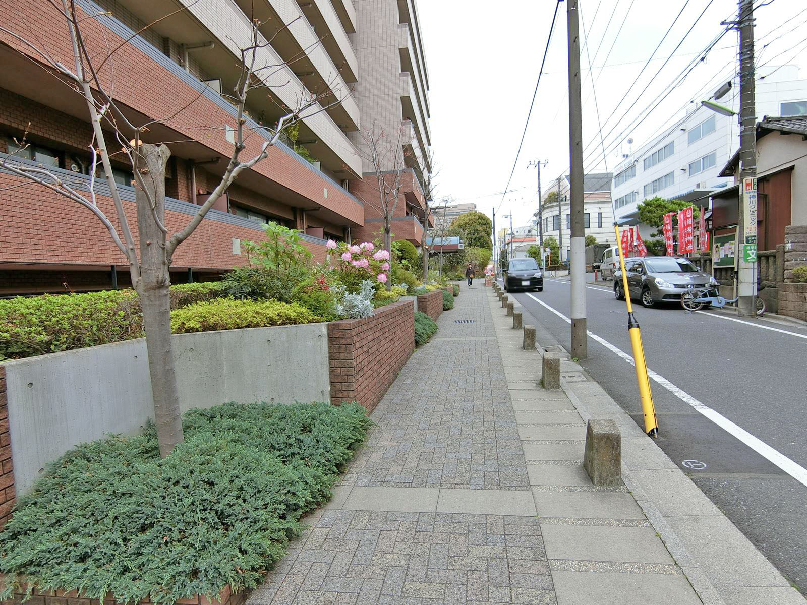 藤和桜新町ホームズ前面の通り