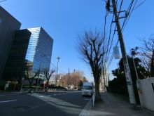 付近の越中島通り