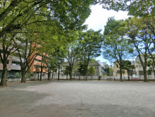 徒歩1分の中央公園