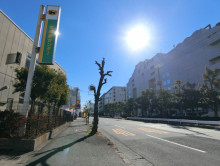 ヤマトインターナショ