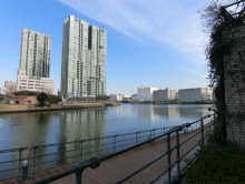 ビル裏の天王洲運河