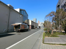 T4号棟前面の通り