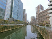 ビル裏の目黒川