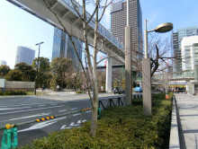 汐留ビルディング前面