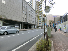 岩澤ビル前面の通り