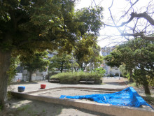 徒歩1分の新浜公園