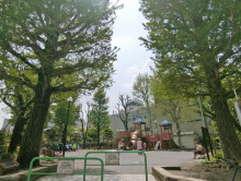 向かいの新宿区立三栄公園
