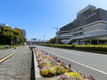 近くの国際大通り