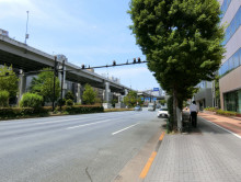 日教販ビル前面の通り