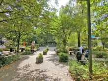 徒歩3分の数寄屋橋公