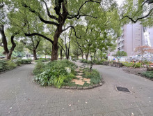 向かいの芝公園