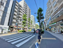 近くの旧白山通り