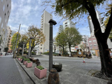 向かいの塩釜公園