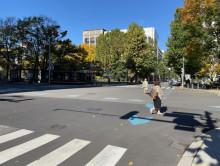 桂和大通ビル38前面の通り