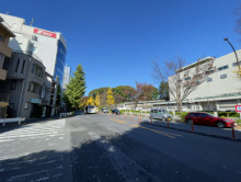 近くの井の頭通り