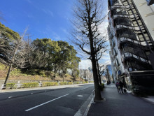 神山町並木ビル前面の