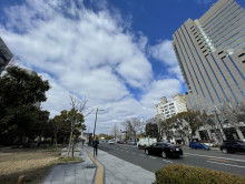 損保ジャパン日本興亜