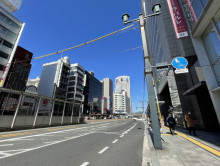 銀泉広島ビル前面の鯉