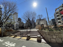 近くの大井中央公園