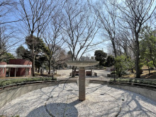 向かいの通りの大塚公