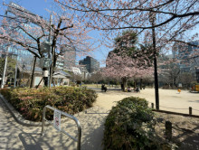 近くの港区立南桜公園