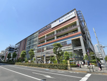 向かいの通りのららぽーと豊洲