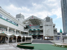 付近のせんちゅうパル