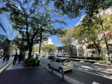 明治安田生命青山パラ