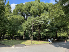 付近の白金台5丁目遊歩道