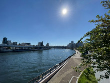 近くの隅田川