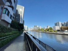 ビル裏の天王洲運河