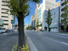 NTビル前面の通り