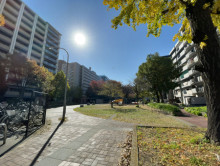 ビル前の人参公園